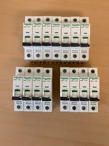 Schneider IC60H 1P MCB, B6 B10 B16 B20 B25 B32 B50 C6 C10 C20 C32 D6 D10 D16 D20 - Picture 1 of 19