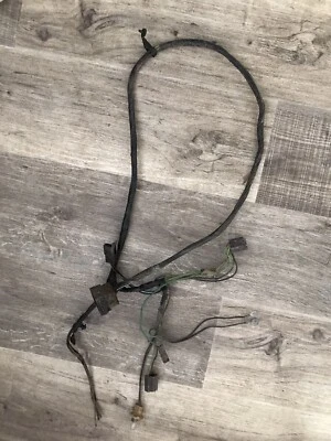 Buick Skylark GS 350 400 1969 etapa 1 especial personalizado faro cableado arnés Foto 1 de 4