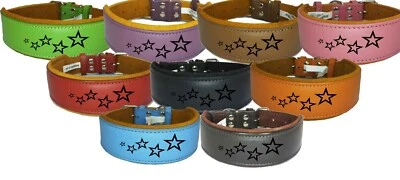  Leather Staffy Padded Dog Collar Staffordshire Bull Terrier Bulldog Design D2 - Image 1 of 4