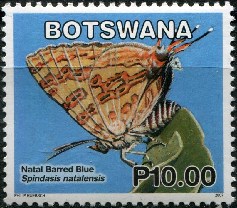 Botswana 2007. Butterflies - Natal Barred Blue (MNH OG **) Stamp - Image 1 of 1