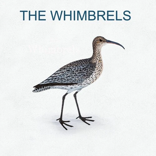 The Whimbrels - The Whimbrels [Used Very Good Vinyl LP] - Image 1 of 1