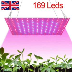 LED Plant Grow Light Full Spectrum For Hydroponic Indoor Plants VEG Growing Lamp - Picture 1 of 12