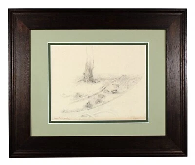 DIBUJO A LÁPIZ RUTH RIPPON AVES INFLUYENTE ARTISTA CALIFORNIA DE COLECCIÓN ENMARCADO Foto 1 de 4