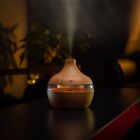 5V Colorful Wood Grain Aromatherapy Machine (Brown) Air Humidifier
