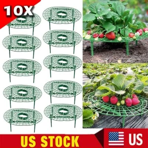 10 PCS Strawberry Stand Frame Holder Balcony Planting Rack Fruit Support US - Picture 1 of 11