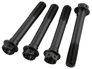 Pro-Bolt Titanium Race Drilled Hex Front Brake Caliper Bolts M10x55 (Black) - Picture 1 of 4