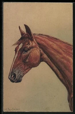 Edles Reitpferd mit Blesse und langem Hals, Ansichtskarte  - Bild 1 von 2