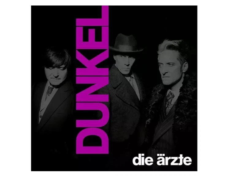 Die Ärzte - DUNKEL (mit Girlande, halbtransparentes lila-pink) - (Vinyl) #A1 - Bild 1 von 1