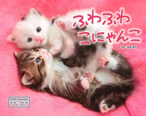 2026 Fluffy Kitty Calendar Monthly/Wall Hanging/600mm x 380mm Impress 2026  183 - Picture 1 of 1