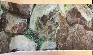 Serbatoio per pesci fondo roccioso rotolo completo alto 39,4 cm - Foto 1 di 4