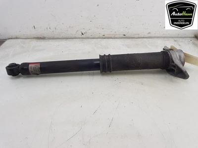 STOßDÄMPFER RECHTS HINTEN Nissan Qashqai (J12) 2023 562106UA1B / E62106UA1B - Bild 1 von 4