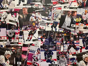 DEL Playercards Saison 2024/25 Auswahl SONDERKARTEN Eishockey 24/25 - Bild 1 von 68