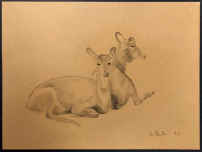 Firmado Original Carbón ~ Art Deco Francés ~ 1929 Animalier Georges Hilbert  Foto 1 de 4