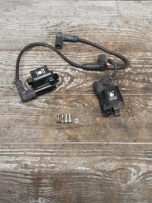 Ducati Monster S2R 800 2007 05-08 paquete de bobinas de encendido juego de tapas de bujías Foto 1 de 4