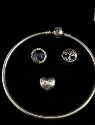 Pandora Armband, Armreif mit Charms - Bild 1 von 4