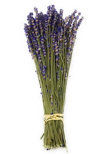 Pacchetti di lavanda in velluto reale - lunghi 14" - 18" - Foto 1 di 8