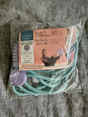 Новый GAIAM Studio Select Ultimate Core Реформатор Тонизирующий Набор ~ FabFitFun Mini Ab Ball - Изображение 1 из 2