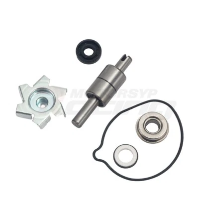 Kit de reparación de reconstrucción de bomba de agua para Honda VT1100T Shadow ACE Tourer 1998-2001 Foto 1 de 4