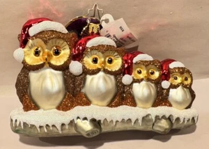 RADKO OWL IN THE FAMILY 1016787 NWT 2016 RETIRED ORNAMENT - Picture 1 of 9