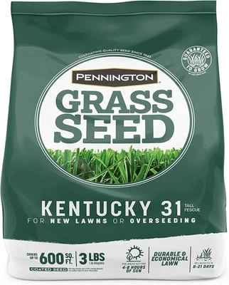 Семена травы Pennington Kentucky 31 Tall Fescue Penkoted 3 фунта - Изображение 1 из 4