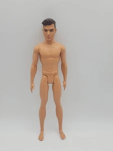 Muñeca Mattel Ken 2016 - Cabello castaño moldeado - Ojos marrones FXP02 P211 - Imagen 1 de 7