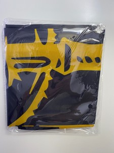 Forward Observations Group Canoe Club Flag | Fog Frwd
