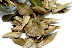 ORGANIC DRY BAY LEAVES - FRESH - HOJAS DE LAUREL select  2oz to 8oz - Picture 1 of 1