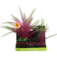 New listing
New Poppy Pet Bushy Foreground Pod #11 8 Inch