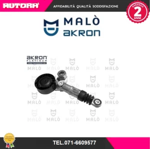 1570367 Tendicinghia, Cinghia Poly-V (MALO'). - Foto 1 di 1
