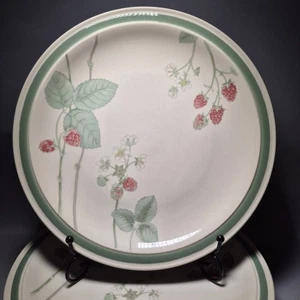 6x Wedgwood Raspberry Cane Dinner Plates 10½'' England Oven Dishwasher Safe 27cm - Picture 1 of 10