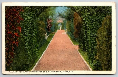 Aiken South Carolina~Walk @ Hopelands~C Oliver Iselin Residence~1920s Postcard - Image 1 of 2