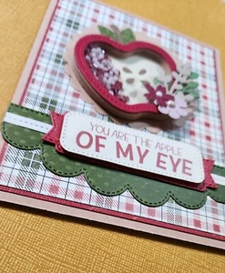 NEW Handmade Shaker Card Kits! Beautiful & Complete Kits! - Picture 1 of 1