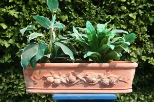 terracotta Tontopf Terrakotta pflanztopf Balkonkasten ca 56 cm lg. - Bild 1 von 9