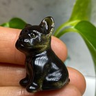 1?+ Natural Golden Obsidian Quartz Mini Dog Hand Carved Crystal Reiki Healing1pc