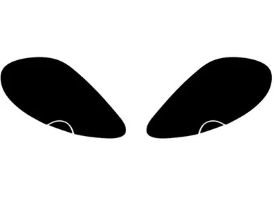 Cubiertas de tinte de faros de vinilo para Aston Martin DB9 2005-2010 - 1 Foto 1 de 4