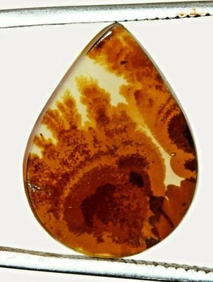 Piedra preciosa certificada pieza única de ágata dendrítica natural de 24,23*18,16 mm Foto 1 de 4
