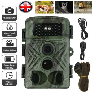 36MP Wildlife Trail Camera 1080P HD Game Outdoor Night Vision Motion Hunting Cam