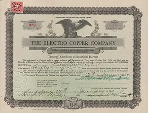 USA ELECTRO COPPER COMPANY stock certificate 1920 - Picture 1 of 1