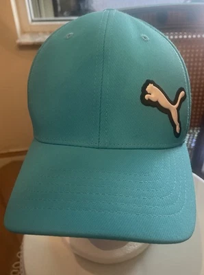 Gorra Puma Unisex Azul Con Tiger Flex Fit Foto 1 de 4