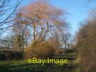Photo 6x4 Track by fine willow tree Mellis  c2008