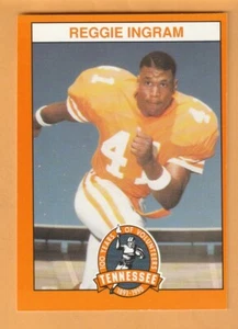 Tarjeta Reggie Ingram Tennessee Volunteers 1990 #41 Memphis TN 12W - Imagen 1 de 2