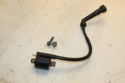 Yamaha Grizzly YMF 600 1998 bobinas de encendido bobina tapas de bujía 3KJ-82310-10-00 Foto 1 de 4