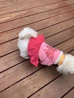 Dog New Pink Lace Dress Lace With Butterfly Design fits 11 to 15 lbs - Image 1 of 4