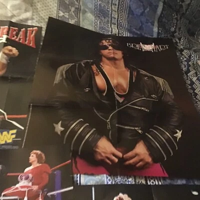 Juego de 6 carteles vintage WWE WWF, 1987-2006 buen estado Foto 1 de 4