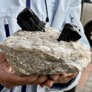 2.87LB Quartz crystals combine with black Tourmaline mineral Specimen - Picture 1 of 13