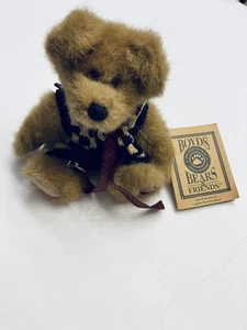 Boyds Bear Plush #02000-31 CAITLIN BERRIWEATHER, 8" FOB 2000 Jointed - Picture 1 of 12