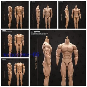 23Toys BD001/2/3/4/5/6 1/6 Muscular Male Action Figure Body for 12" Hot Toy Head - Picture 1 of 15