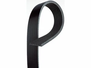 Gates Multi Rib Belt fits Toyota RAV4 2001-2003 2.0L 4 Cyl GAS 74BNMS - Picture 1 of 1