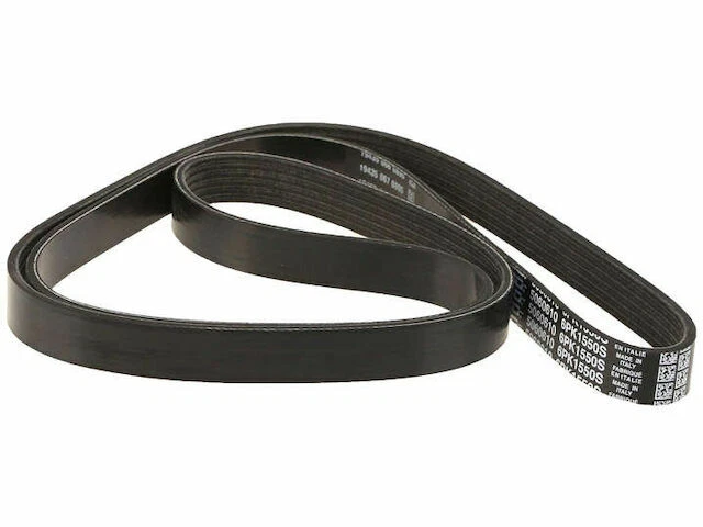 Cinturón principal Dayco Multi Rib para BMW 525iT 1993 22DJWV Foto 1 de 1