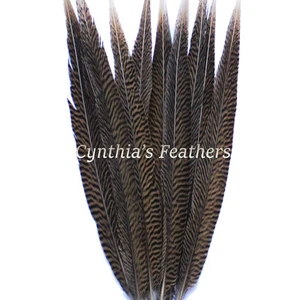 Plumas de Faisán Natural Dorado Plumas de Cola de Faisán 10 Piezas 14-16" de Largo - Imagen 1 de 2